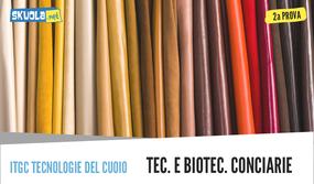 Traccia e Soluzione Seconda prova: Tecnologie e Biotecnologie Conciarie maturità 2018